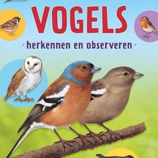 Boek Vogels Herkennen En Observeren
