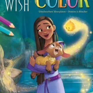 Disney Color Wish Kleurblok
