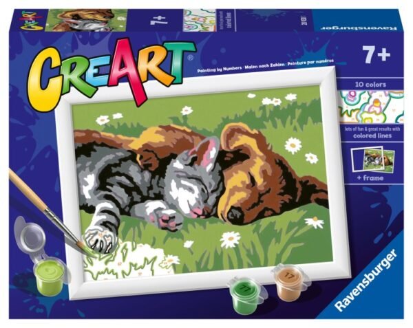 Ravensburger Creart Schilderen Op Nummer Slapende Hond En Poes