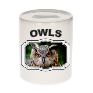 Dieren uil spaarpot - owls/ uilen spaarpotten kinderen 9 cm