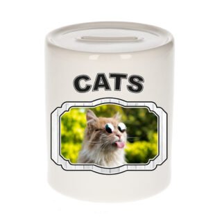 Dieren gekke poes spaarpot - cats/ katten spaarpotten kinderen 9 cm