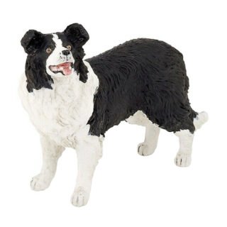 Border Collie schapendrijver speel hond
