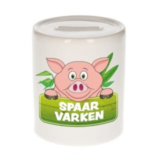 Kinder cadeau spaarpot varken 9 cm