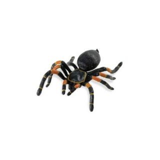 Tarantula spin