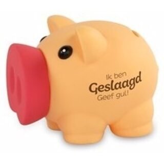 Spaarvarken Diploma geslaagd thema - 10 x 9 cm - kunststof - cadeau - afgestudeerd