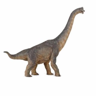 Plastic braciosaurus dinosaurus - dieren speelgoed - 39,5 cm - dino