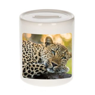 Dieren foto spaarpot luipaard - 9 cm - jaguars/ luipaarden - spaarpotten - jongens en meisjes