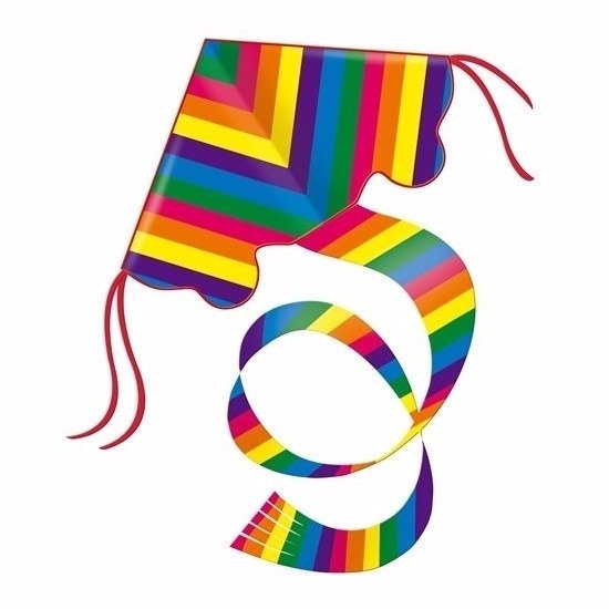 Gunther Regenboog vlieger - gekleurd - 97 x 58 cm - strandspeelgoed