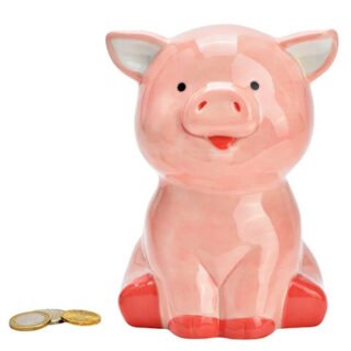 Spaarpot varken - voor kinderen - keramiek - grijs - 16 x 12 x 10 cm - geld sparen