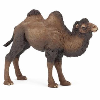 Papo Speelgoed Kameel - figuur - 12 cm - kunststof - dieren - speelfiguren