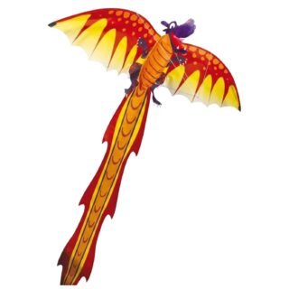 Gunther Vlieger - draak - B102 x L320 cm - gekleurd - kindervlieger