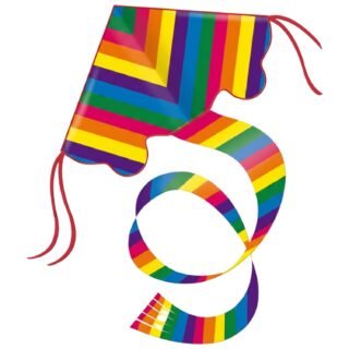 Gunther Regenboog vlieger - gekleurd - 97 x 58 cm - strandspeelgoed