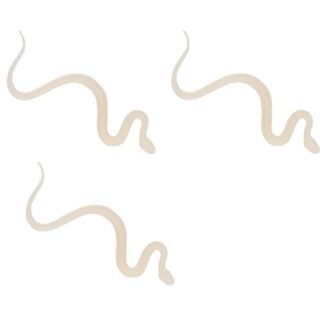 Cornelissen Plastic Slangen - 3x - 15 cm - Glow in the dark - Reptielen